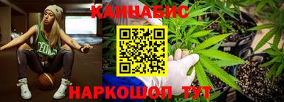 индика Будённовск