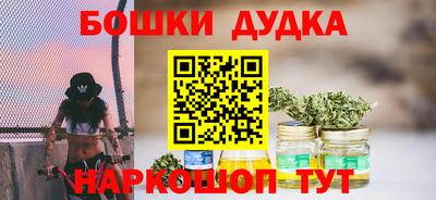 индика Будённовск