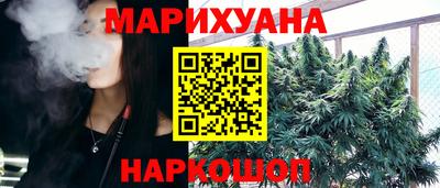 индика Будённовск