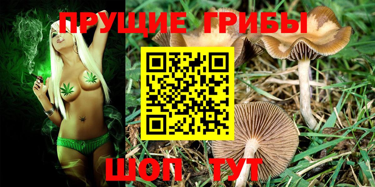 Псилоцибиновые грибы прущие грибы  Вход с VPN  Комсомольск-на-Амуре 